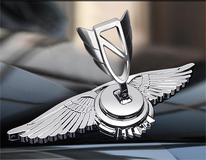 Decorazione Modifica Auto Logo Cofano Motore