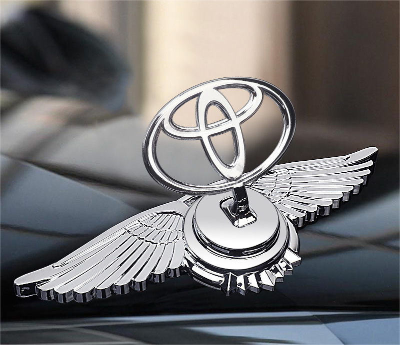 Decorazione Modifica Auto Logo Cofano Motore