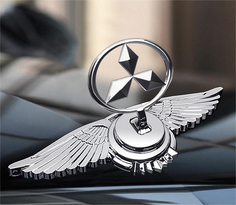 Decorazione Modifica Auto Logo Cofano Motore