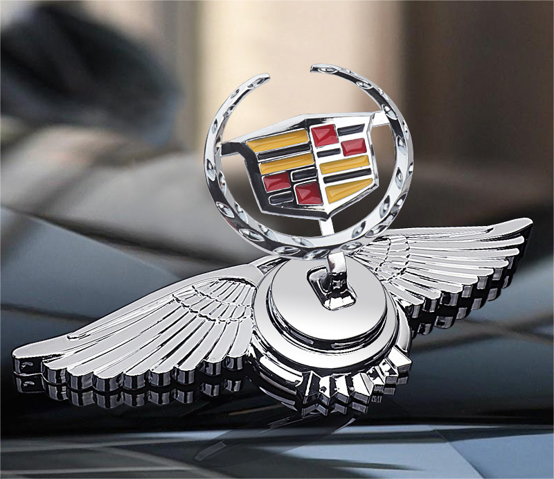 Decorazione Modifica Auto Logo Cofano Motore