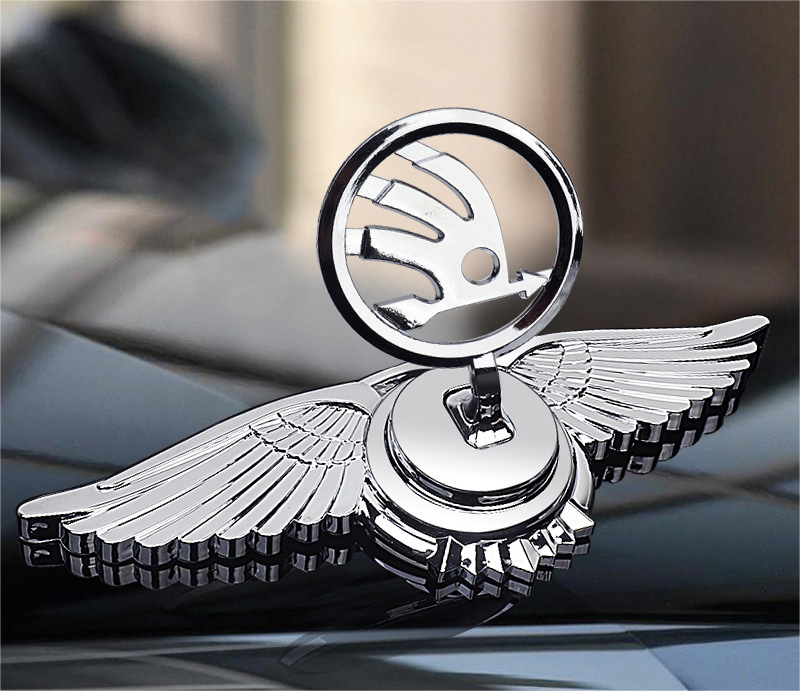 Decorazione Modifica Auto Logo Cofano Motore