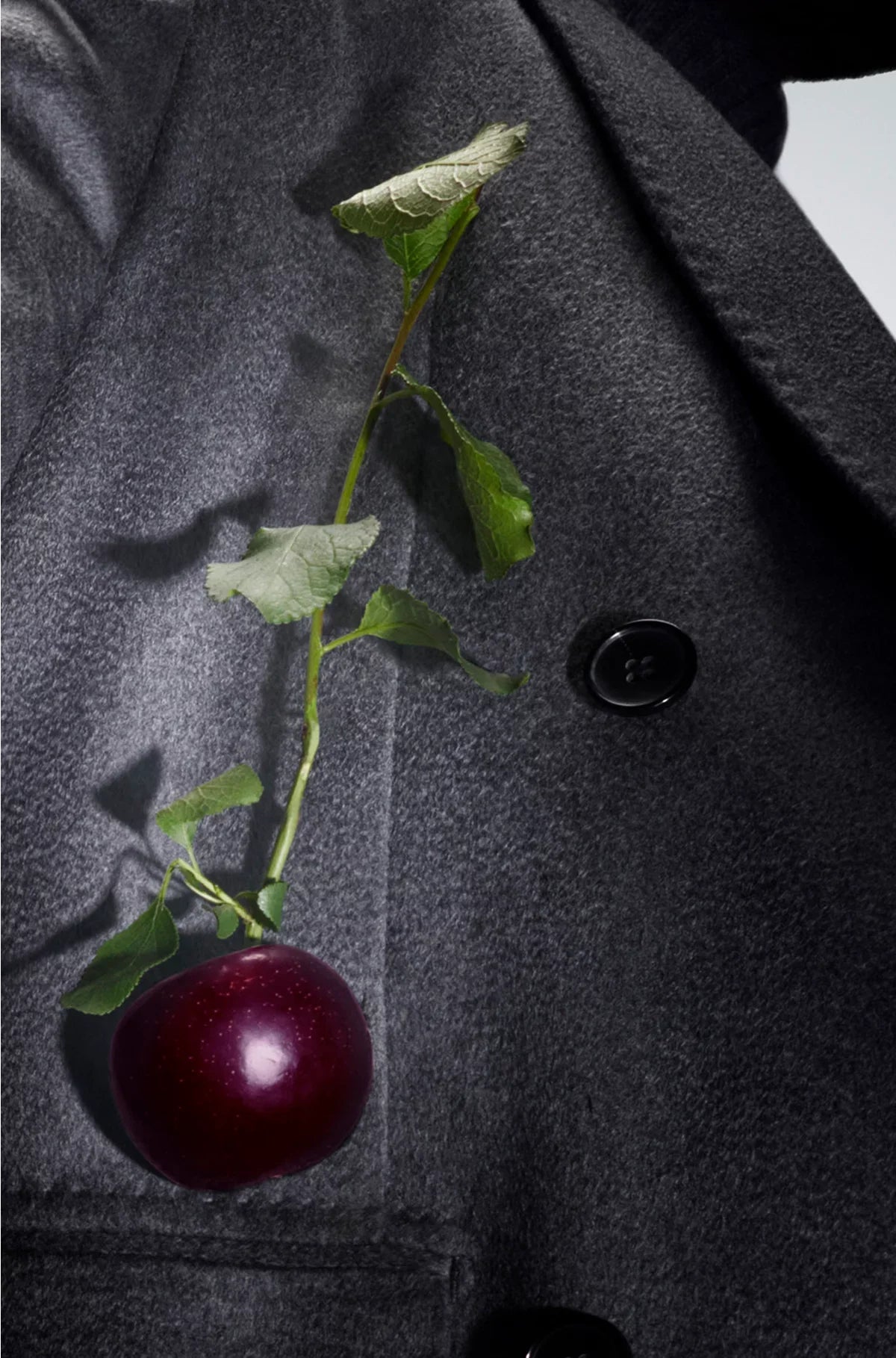 THE COLLECTION BOLD INCENSE EAU DE PARFUM