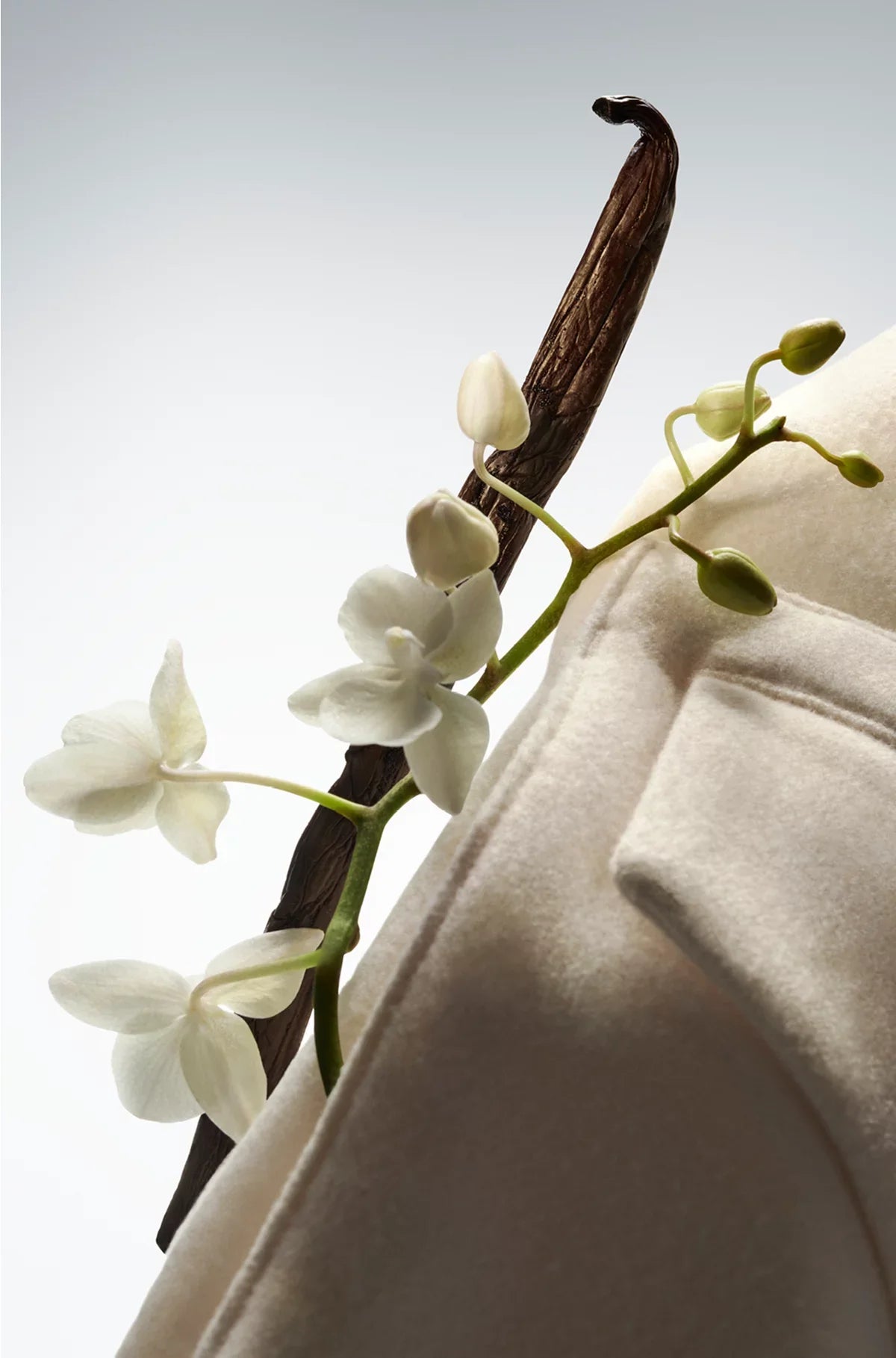 THE COLLECTION EXHILARATING VANILLA EAU DE PARFUM