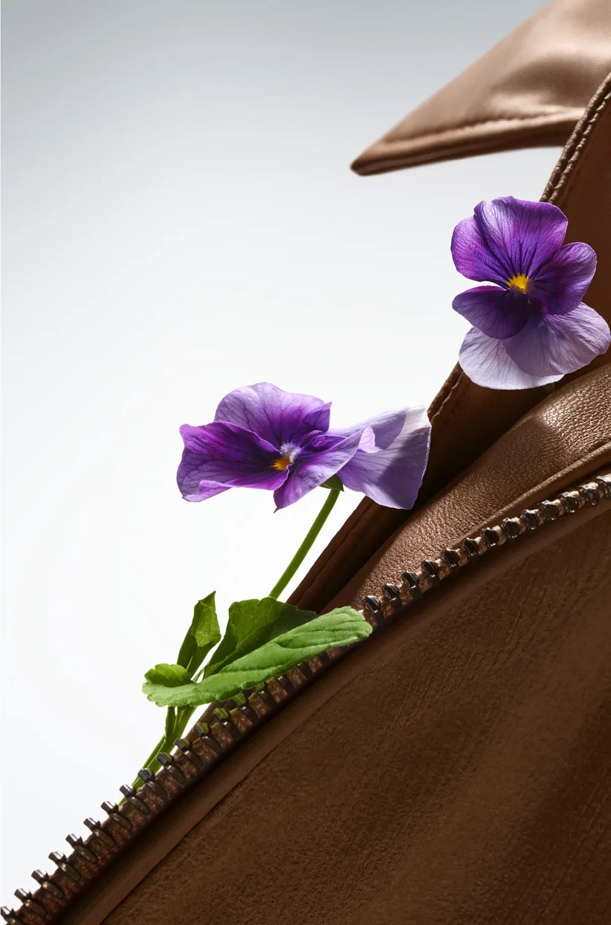 THE COLLECTION WILD VIOLET EAU DE PARFUM