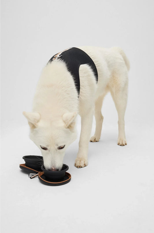 CIOTOLE PIEGHEVOLI PER CANI IN SILICONE CON CUSTODIA CON CERNIERA