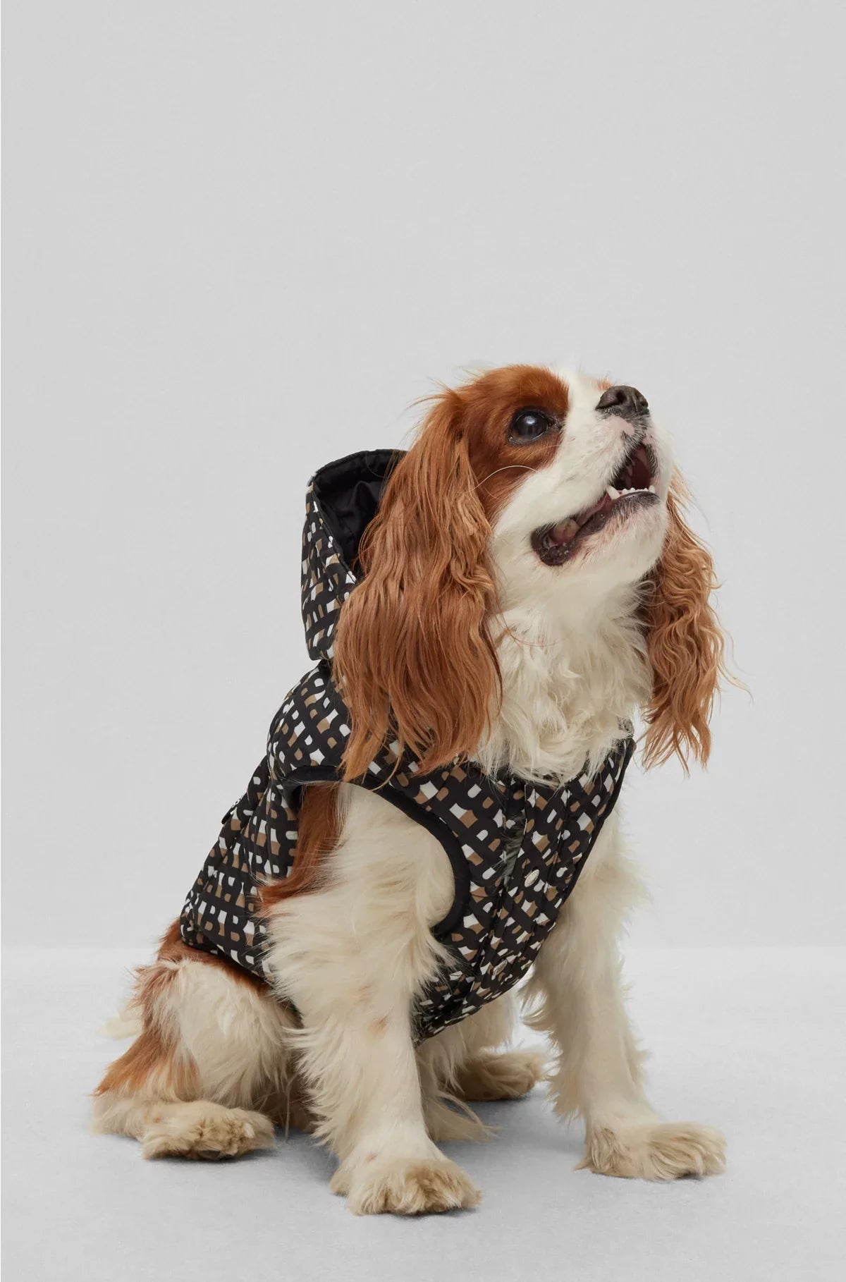 GIUBBOTTO IMBOTTITO IMPERMEABILE PER CANE