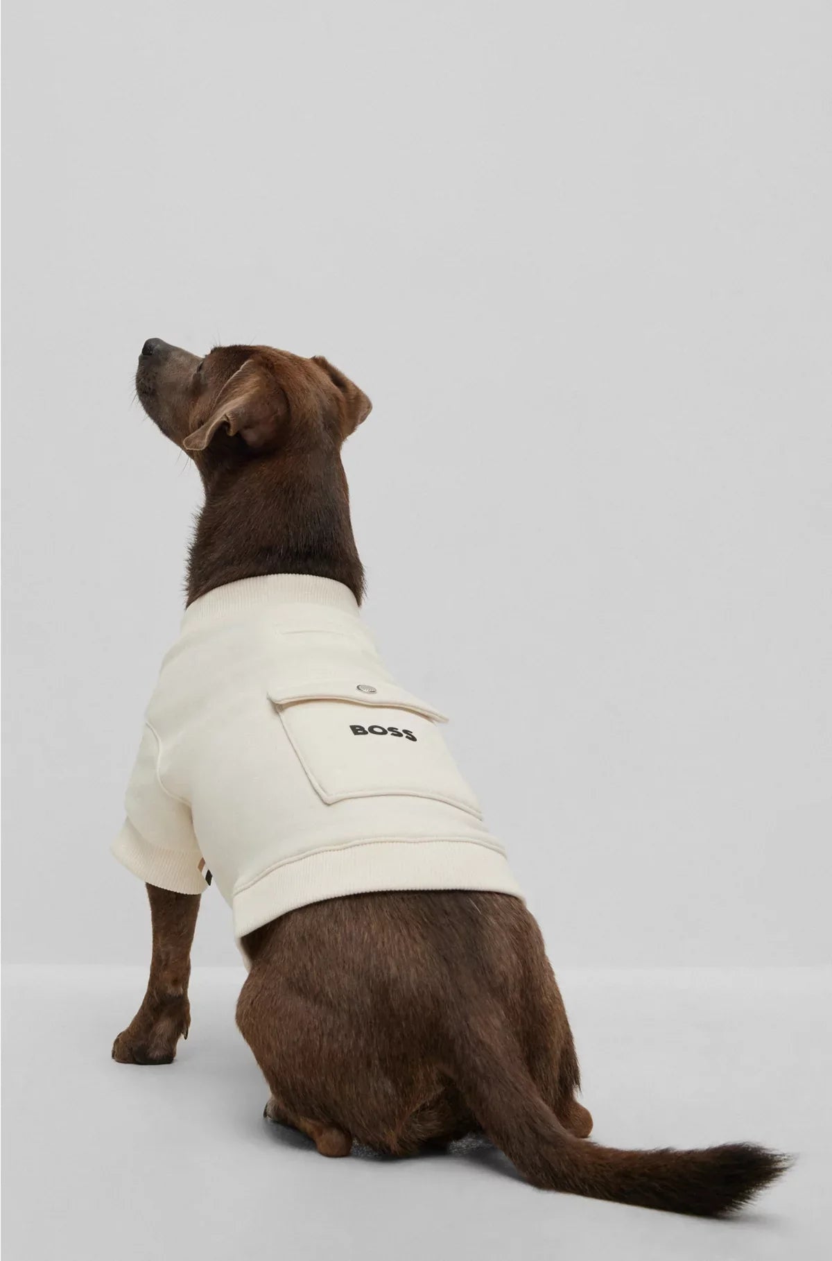 DOG T-SHIRT IN A COTTON BLEND WITH LOGO