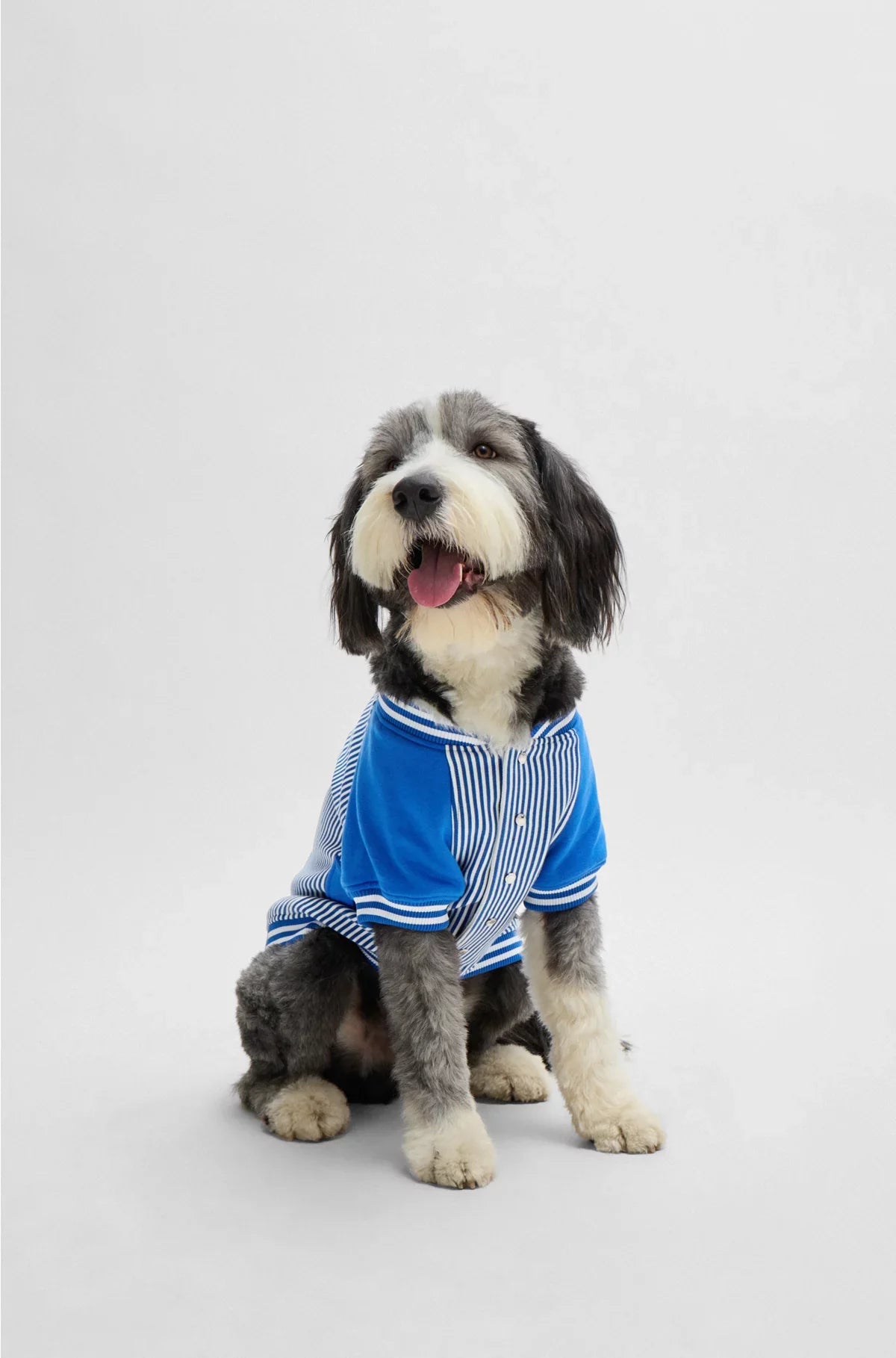 BOMBER PER CANE CON LOGO RICAMATO