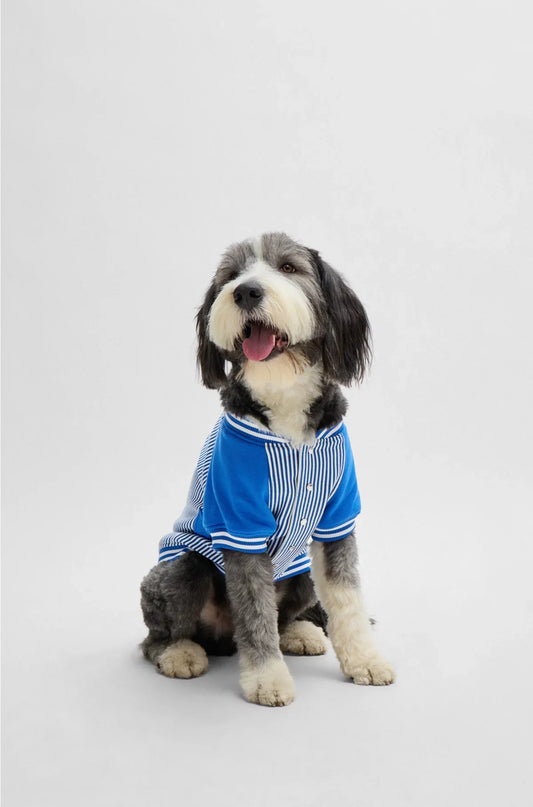BOMBER PER CANE CON LOGO RICAMATO