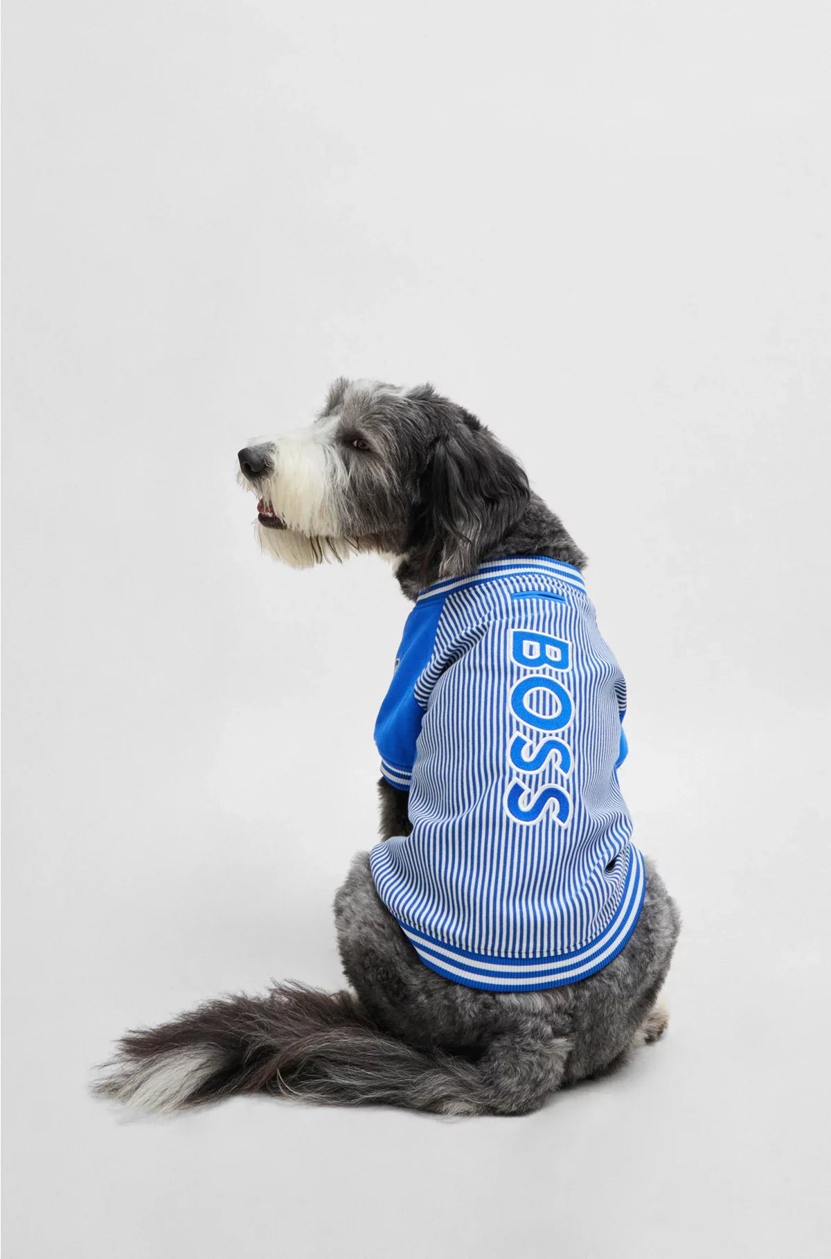 BOMBER PER CANE CON LOGO RICAMATO