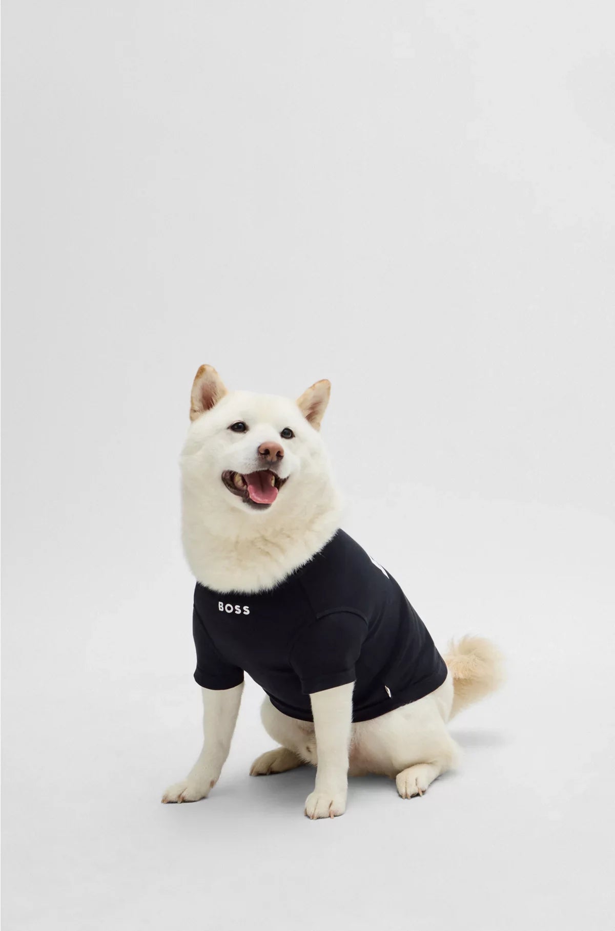 DOG T-SHIRT IN COTTON WITH LOGO PRINT